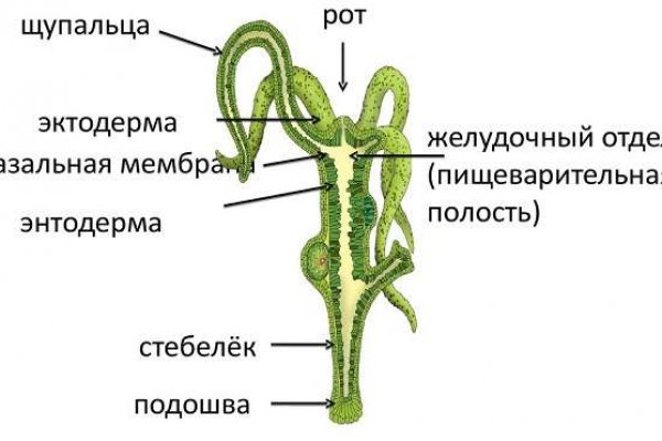 Кракен площадка