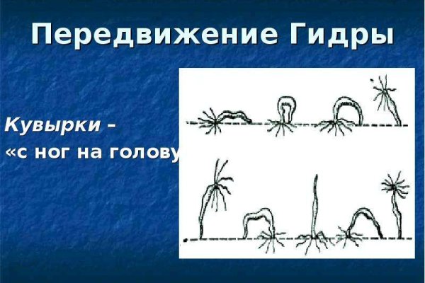 Как восстановить аккаунт на кракене даркнет